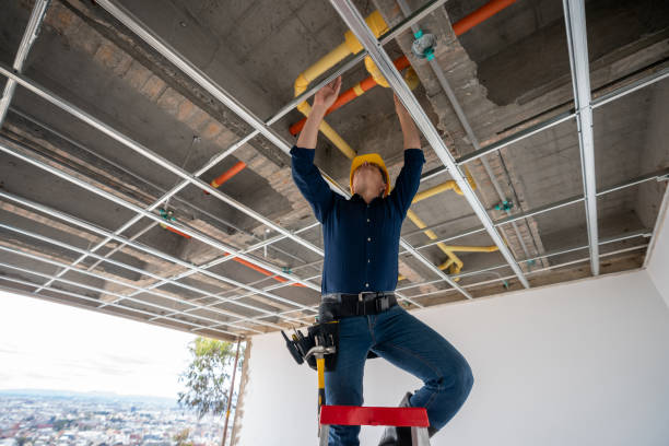 Best Pipe Repair Near Me  in Lewisburg, KY