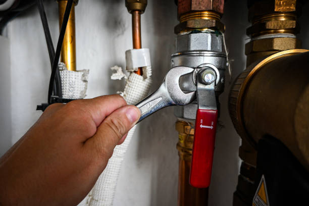 Best Shower Repair Services  in Lewisburg, KY